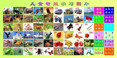 【87素材啟蒙教育海報展板72兒童智能學習】價格,廠家,圖片,展示架,新豐縣新奇麗廣告設計制作室-